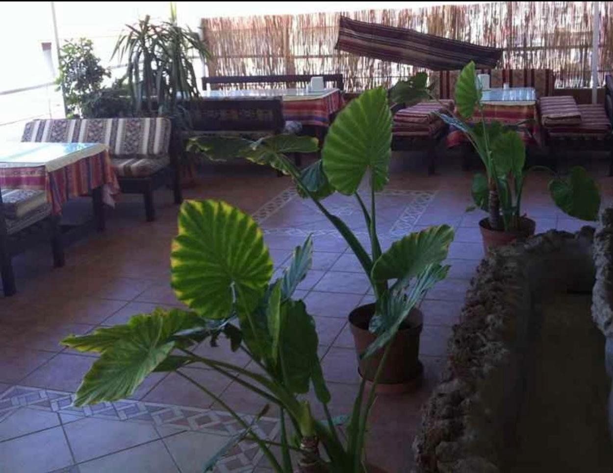 Denizhan Hotel Antalia Esterno foto